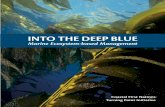 INTO THE DEEP BLUE