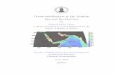 Ocean acidification in the Arabian Sea and the Red Sea