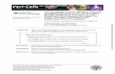 Cyclooxygenase (COX)-2 Inhibitor Celecoxib Abrogates TNF-Induced