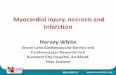 Myocardial injury, necrosis and infarction
