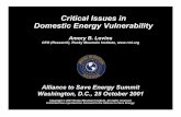 Critical Issues in Domestic Energy Vulnerability