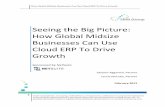 Seeing the Big Picture: How Global Midsize Businesses Can Use
