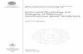 Endocranial Morphology and Phylogeny of Palaeozoic Gnathostomes
