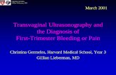 Transvaginal Ultrasonography and the Diagnosis of First-Trimester