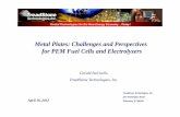 Metal Plates: Challenges and Perspectives for PEM Fuel Cells and