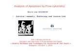 Analysis of Apoptosis by Flow-cytometry - Boston University