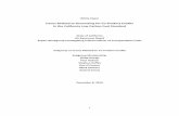 Issues Related to Accounting for Co-Product Credits in the