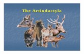 The Artiodactyla - Arkansas Forest Resources Center