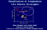 Classification of Zooplankton Life History Strategies