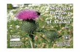 Selected Invasive Plants of Alaska - Kenai Peninsula Cooperative