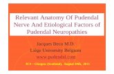 Relevant anatomy of pudendal nerve and etiological factors of