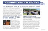 Summer 2006 JuvenileJustice Report