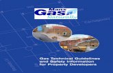Gas Technical Guidelines and Safety Information for Property