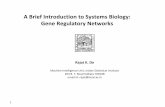 A Brief Introduction to Systems Biology: Gene Regulatory Networks