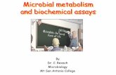 Microbial metabolism and biochemical assays