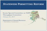 Senate Special Committee on TAPS Throughput Committee