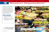 Chapter 3: Business Organizations - Social Studies Resource