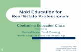 Mold for Real Estate Professionals