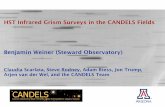 HST Infrared Grism Surveys in the CANDELS Fields