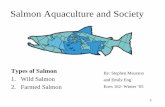 Salmon Aquaculture and Society - SCU