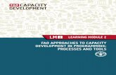 FAO APPROACHES TO CAPACITY DEVELOPMENT IN PROGRAMMING