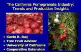 The California Pomegranate Industry: Trends and Production