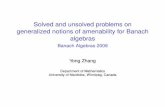 Solved and unsolved problems on generalized notions of
