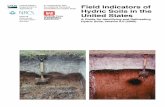 Field Indicators of Hydric Soils in the United States, Version 6.0
