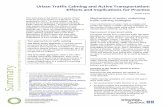 Urban Traffic Calming and Active Transportation: Effects and