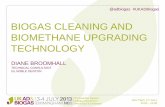 BIOGAS CLEANING AND BIOMETHANE UPGRADING TECHNOLOGY