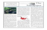 The Sandpiper - Grays Harbor Audubon Society