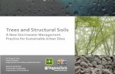A New Stormwater Management Practice for Sustainable Urban Sites