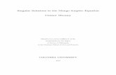 Singular Solutions to the Monge-Ampe18 ere Equation