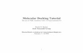 Molecular Docking Tutorial -