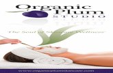 OrganicPlum Menu A - Organic Plum Studio