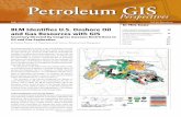 Petroleum GIS Perspectives Winter 2009/2010 newsletter
