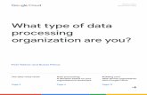 Data Processing Whitepaper - What type of data processing ...