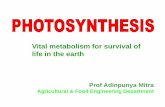 Vital metabolism for survival of life in the earth