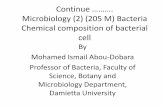 Continue ………. Microbiology (2) (205 M) Bacteria Chemical ...