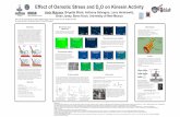 Effect of Osmotic Stress and D2O on Kinesin Activity Andy ...