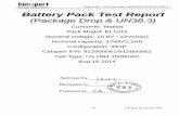 Report No.: CPK-QA-Lab-UN383PACK14023-K101-1 Battery …