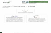 SARS-CoV-2 (COVID-19) Spike S1 Antibody [SP422] PDF