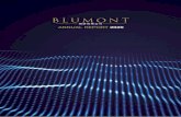 ANNUAL REPORT 2020 - Blumont Group