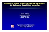 Effects of Force Fields in Simulating Nano- to Subnano- level