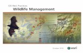 GIS for Wildlife Management - Esri