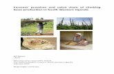Farmers’ practices, adaptions and value chain of climbing ...