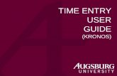 TIME ENTRY USER GUIDE - Augsburg University