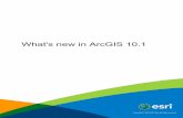 What's new in ArcGIS 10 - Digital Data Services, Inc