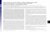 Reversal of end-stage retinal degeneration and restoration of