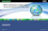 IBMâ€™s InfoSphere BigInsights: Smart Analytics for Big Data